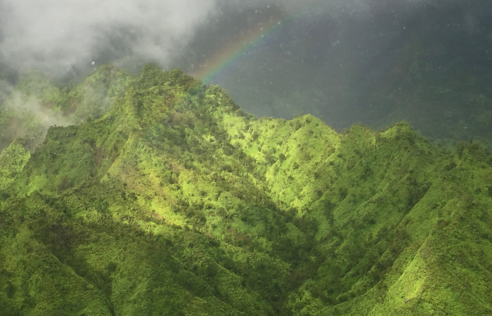 best time for helicopter tour in kauai