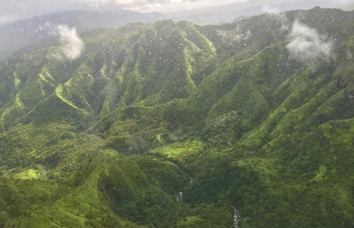 kauai helicopter tour best time of day