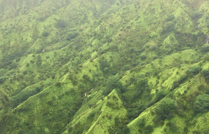 kauai helicopter tour morning or afternoon