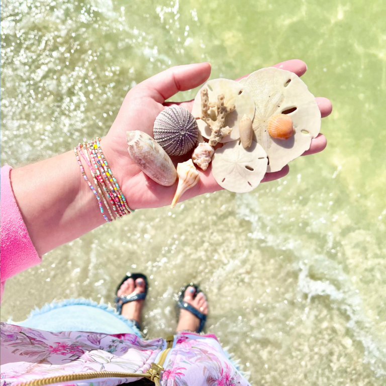Best Beaches in Florida with Seashells (Best Shelling Spots from the Beach + Boat Tours)