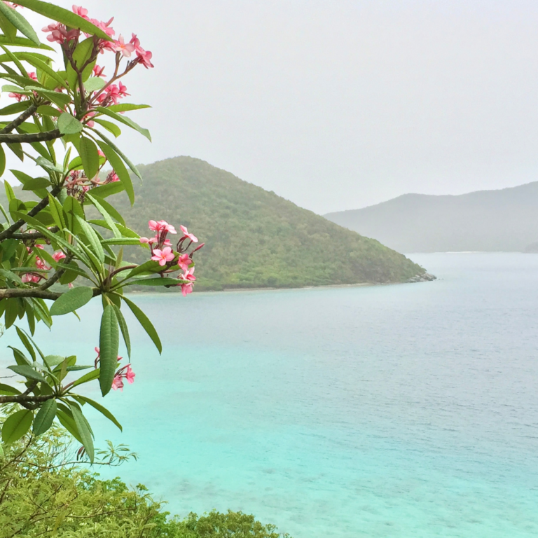 Virgin Islands Itinerary: How I Spent 2 Weeks Island Hopping the USVI & BVI