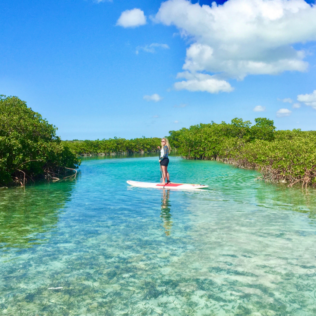 Paddleboarding the Mangroves in Turks & Caicos with SUP Provo