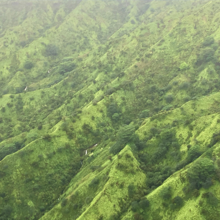 Morning or Afternoon? The Best Time of Day for Kauai Helicopter Tours & Other FAQs