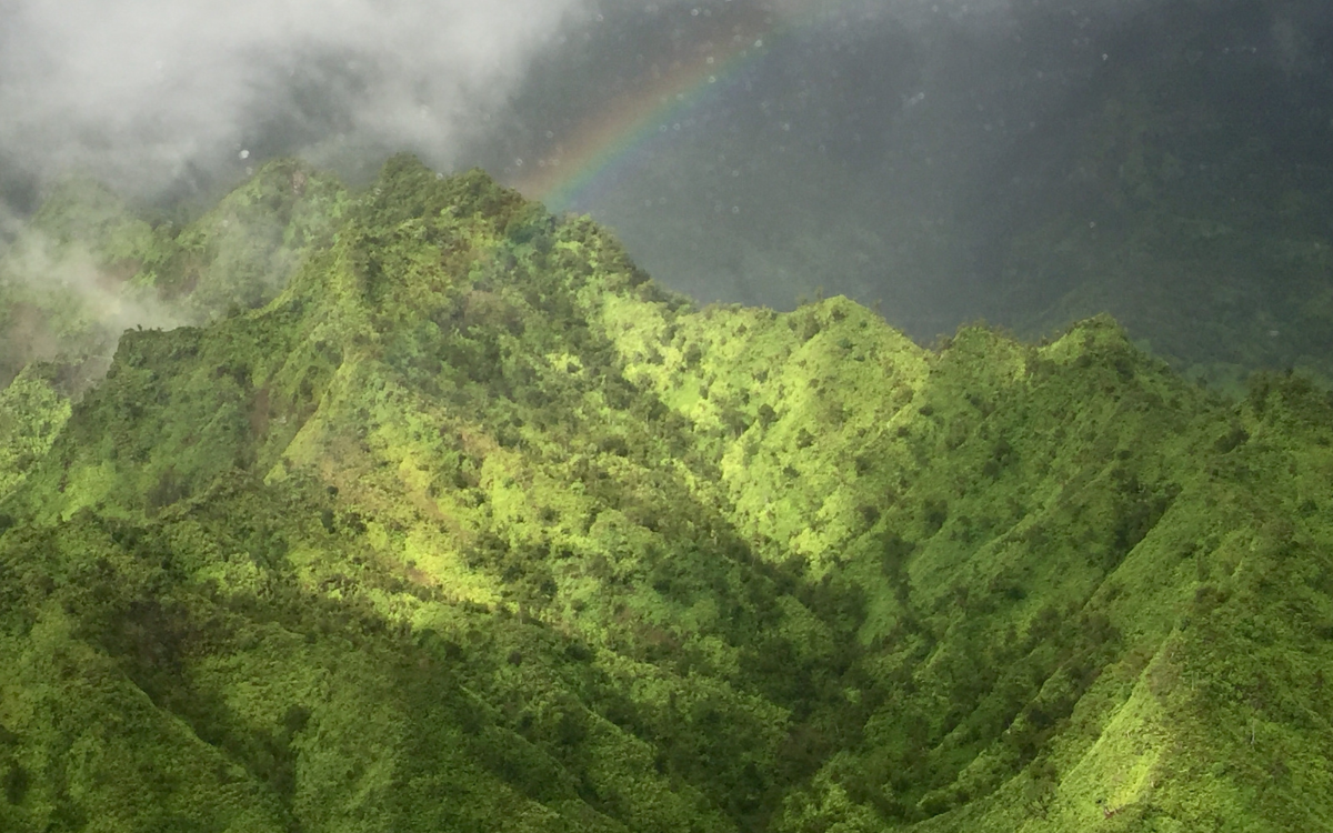 waimea canyon day trip itinerary