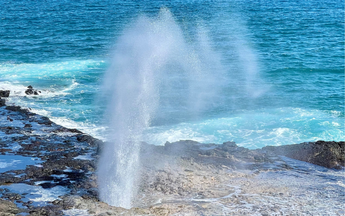 kauai trip reddit