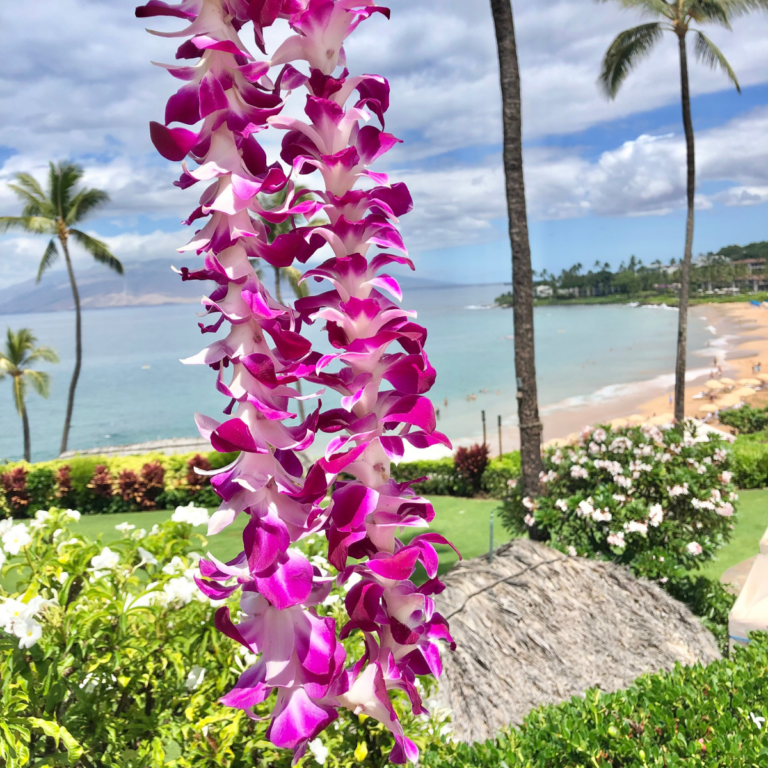 Where to Stay in Maui: The Best Hotels in Wailea, Kaanapali & Kapalua