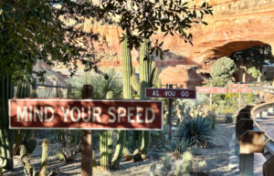 Cars Route 66 Road Trip: The Real Life Places Behind Radiator Springs ...
