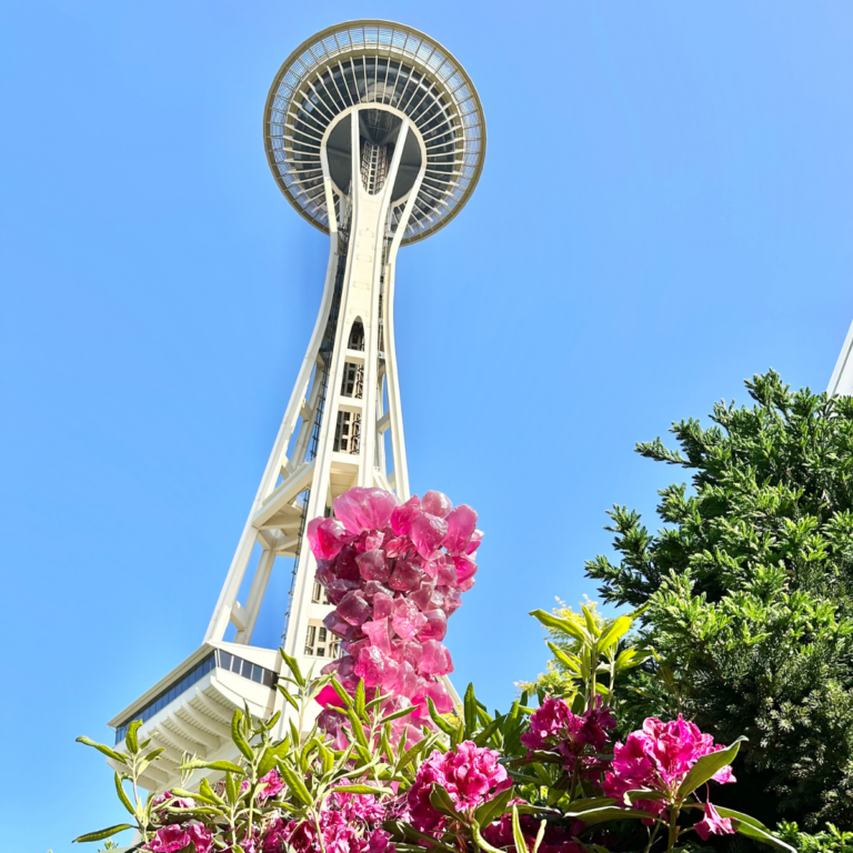 Places I Loved in Seattle: Chihuly Gardens, the Ultimate Travel Bookstore + PASTRY PETS