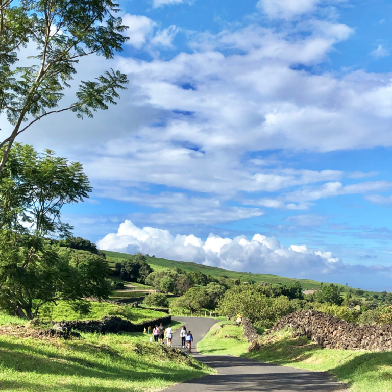 My Favorite Things to Do Upcountry Maui: Farm Tours, Scenic Drives & Incredible Views