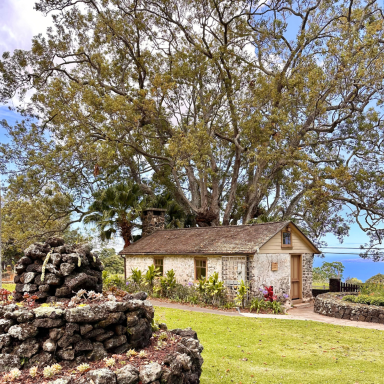 Maui Wine & Ulupalakua Ranch: The Most Picturesque Spot on Maui