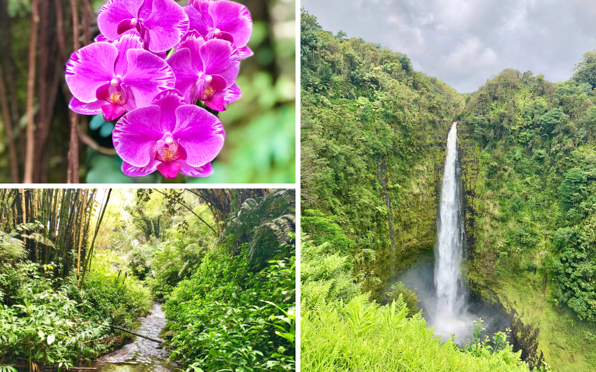 places to visit on hawaii