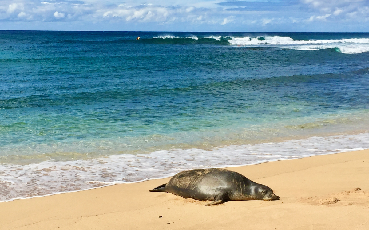 places to visit on hawaii